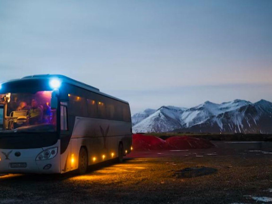 Forests Bus Rental