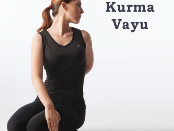 Bharat Thakur Artistic Yoga