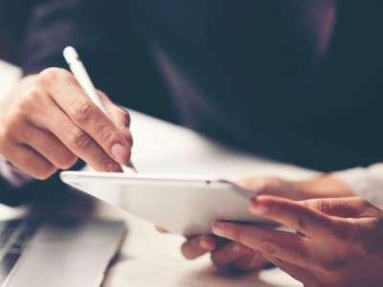 Rabeeah Saad Al Muhanna Auditing Of Accounts