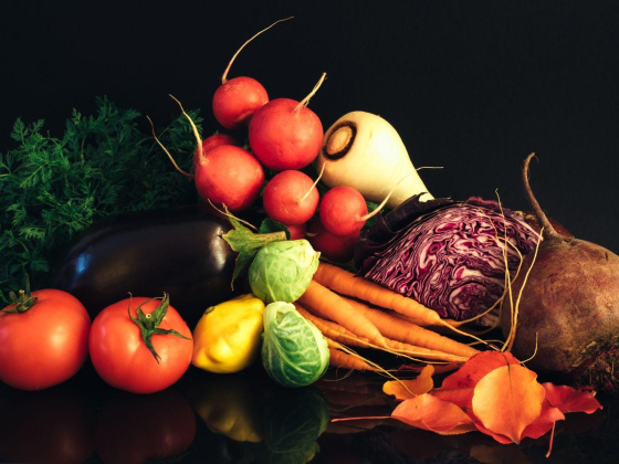 All Freshco General Trading