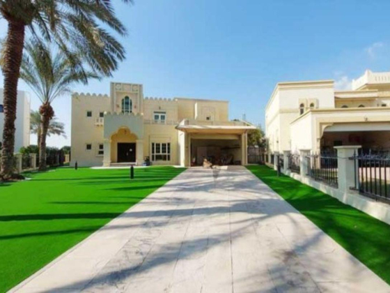 Grass Carpet