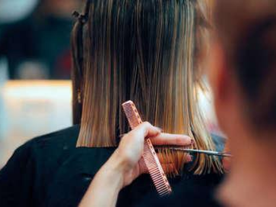 Bba Ladies Salon