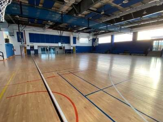 Wise Basketball Academy