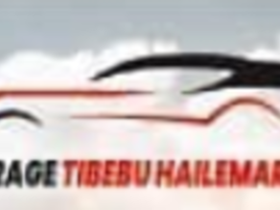 Tibebu Hailemaria Garage