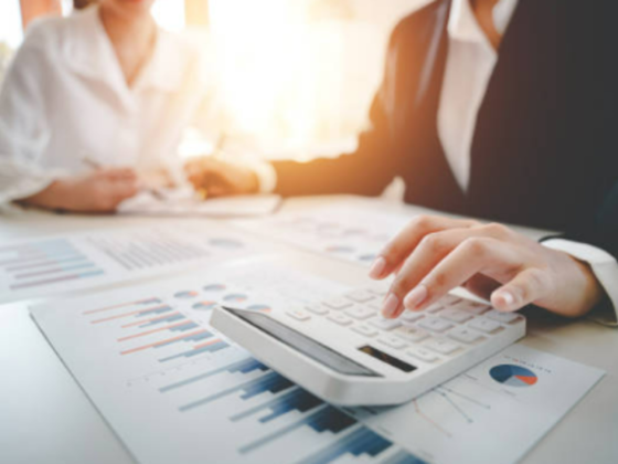 Diwan Almolouk Businessmen Services