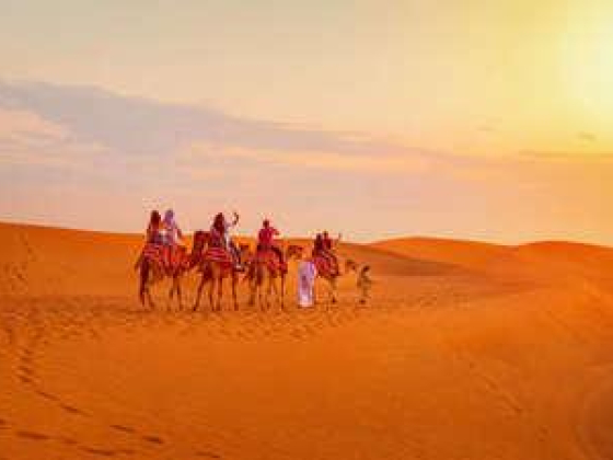 Tour Dubai Tourism