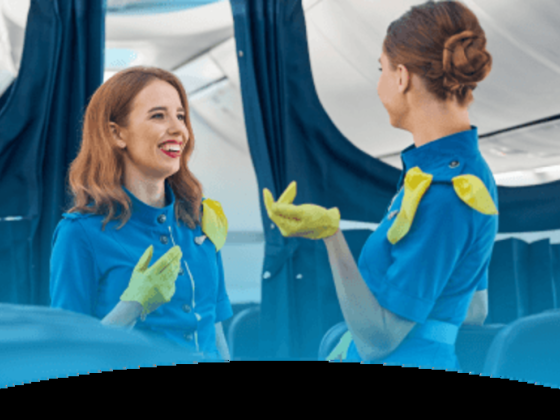 Aerviva Aviation Consultancy & Recruitment