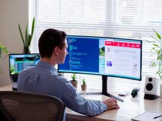 Dubiene Software Design