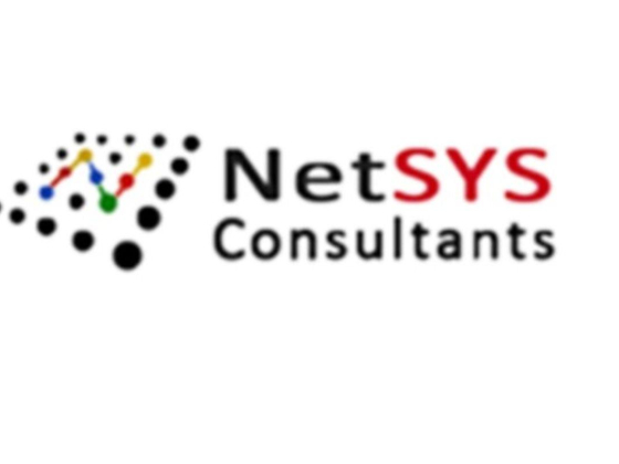 NetSYS Consultants