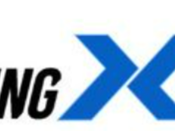 The Detailing Experts