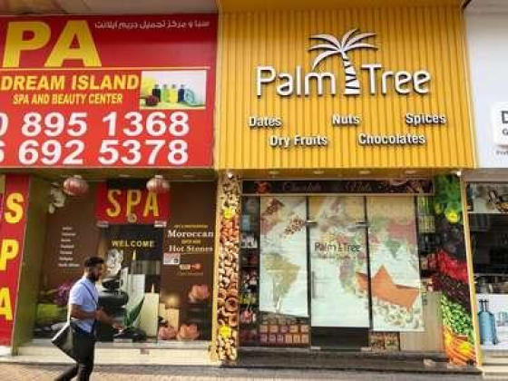 Palm Tree Sweets Nuts