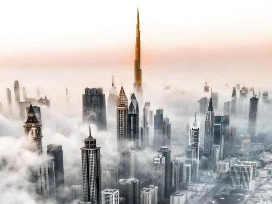 Edifice Real Estate Brokerage