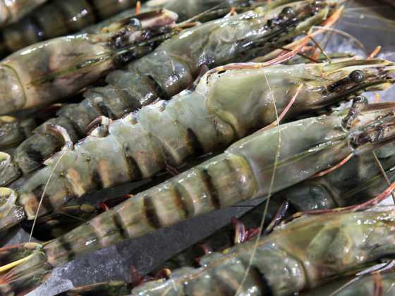 Jaber Al Marri Fish Stall