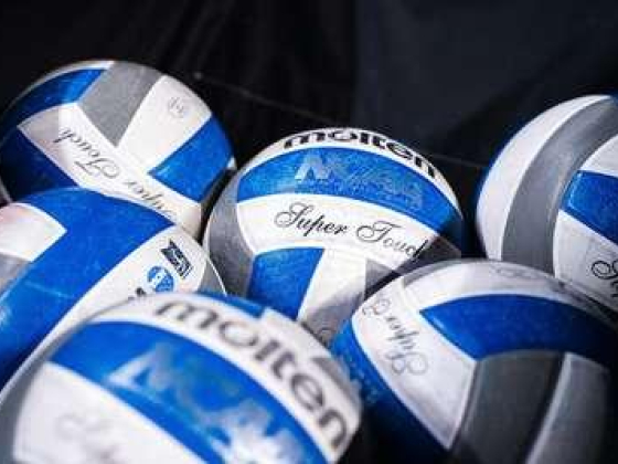 Maple Volleyball Court