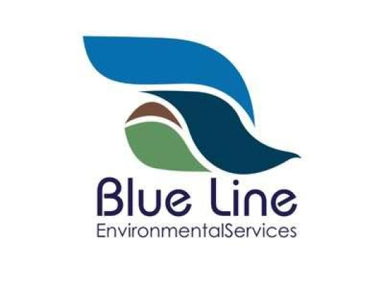 Blue line Environment Services