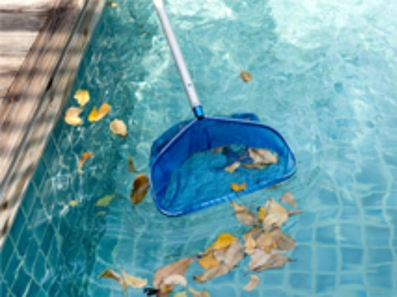 Blue line Environment Services
