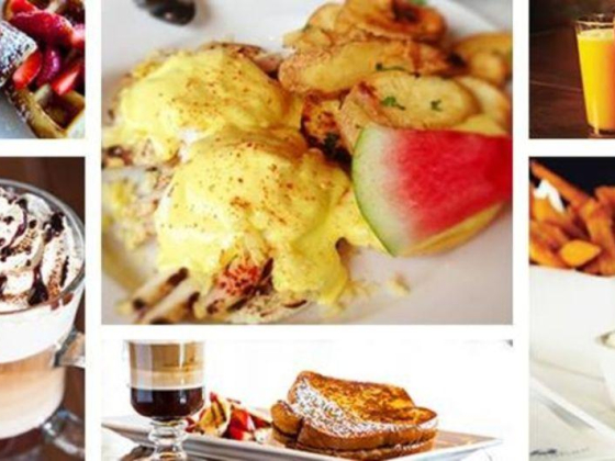Eggspection- Office