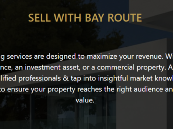 Bay Route Real Estate L.l.c