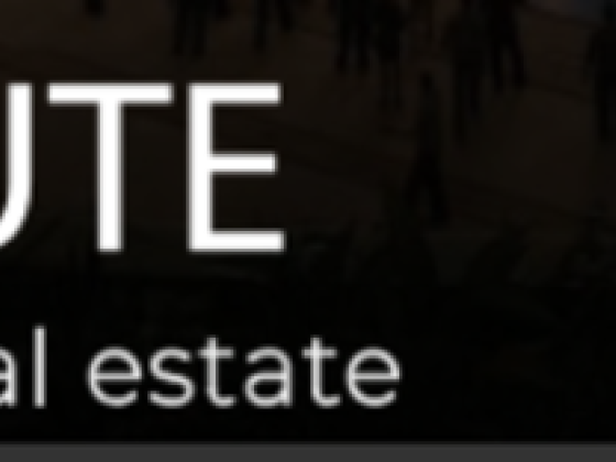 Bay Route Real Estate L.l.c