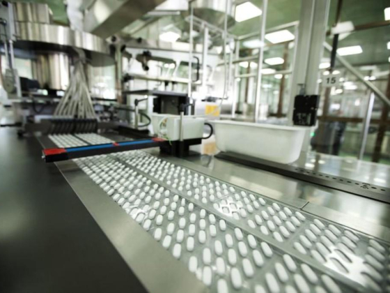 Pharma Bricks Healthcare Investments