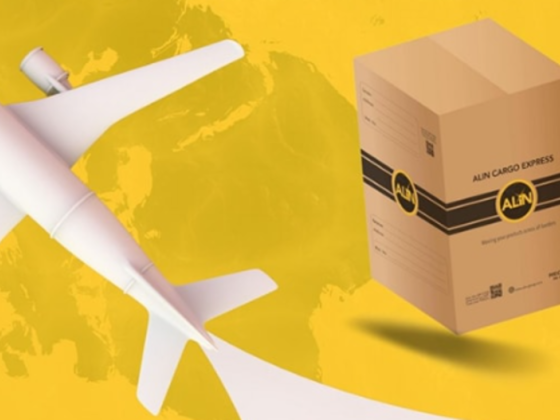 Alin Cargo Express