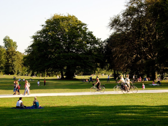 Parks Near Me in Dubai: What's Free, What Costs Money, and When Gates Actually Open