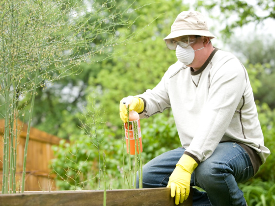 Pest Control in Dubai: What a Fair Price Looks Like and How to Avoid an Unlicensed Operator