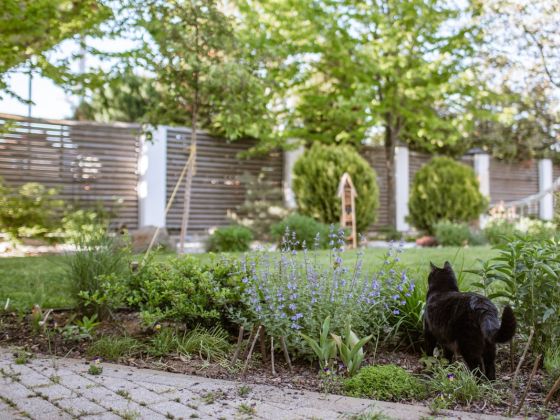 Finding a Garden Company Near You in Dubai: Costs, Contracts and What to Check
