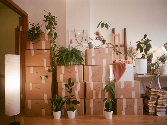 Moving House in Dubai: What It Actually Costs and How to Avoid a Bad One