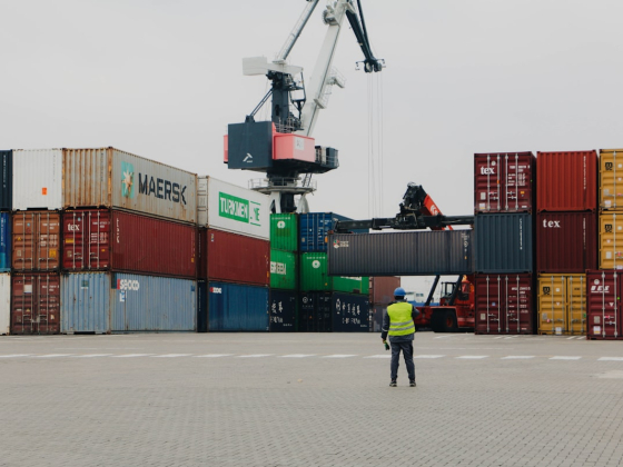 Customs Clearance in Dubai: What It Actually Costs and Who You Need
