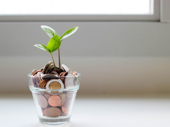 Venture Capital in Dubai: How the Market Actually Works