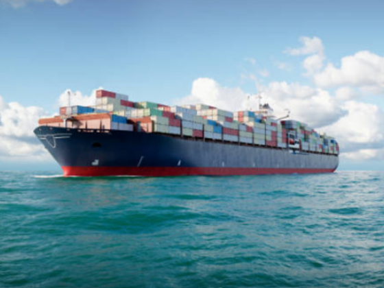 Mvp Shipping Dmcc