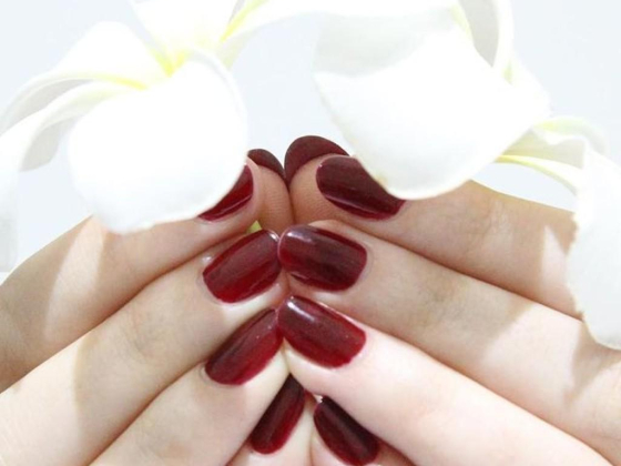 Trendy Ladies Salon