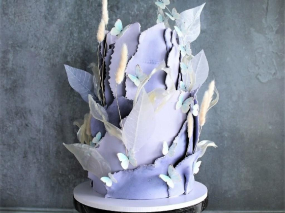 Papillon cake