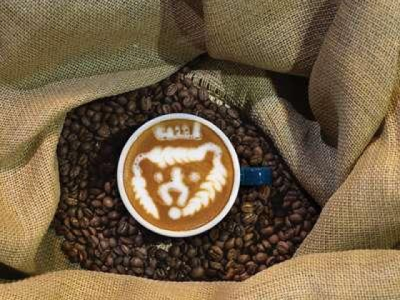 Doppio Roasters