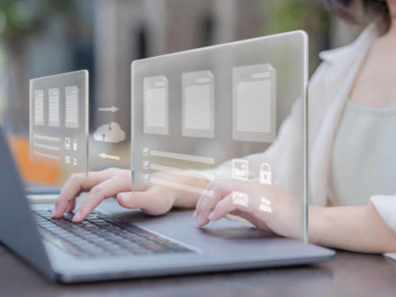 Bizvisa-business Visa Facilitators