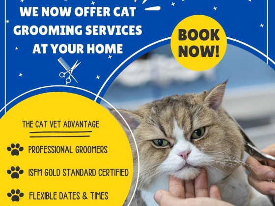 The Cat Specialist Veterinary Clinic