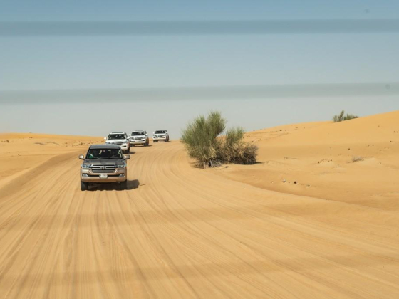 Al Taysir Travel Agency