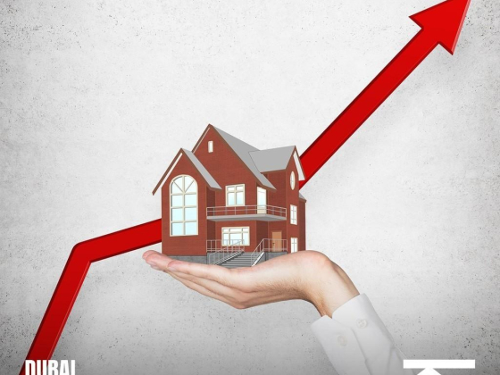 Korek Real Estate