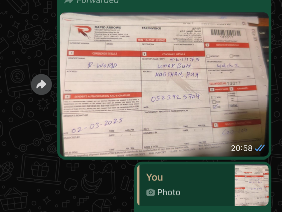Rapid Arrows Delivery Services  Co
