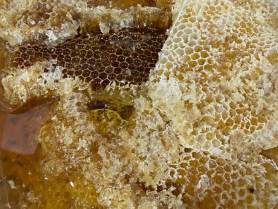 Shaya Bin Shaya For Honey
