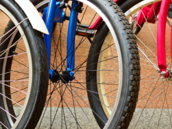 Arabian Youth Bicycles