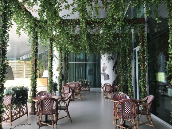 Maison Assouline Publishing House