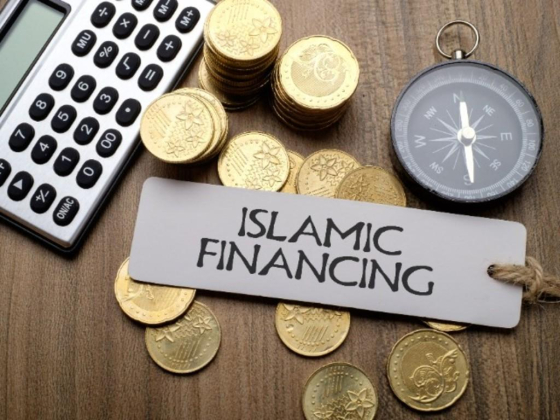 DP Taxation Consultancy
