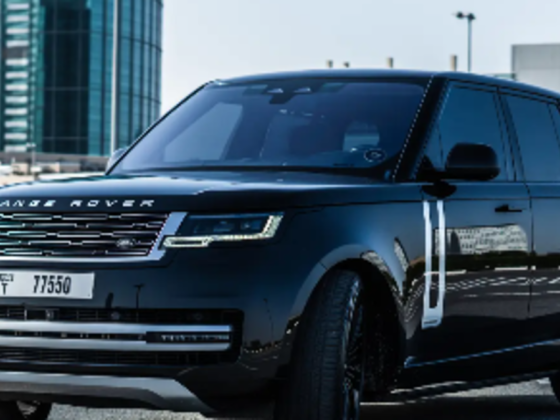 Pegasus Motors Trading
