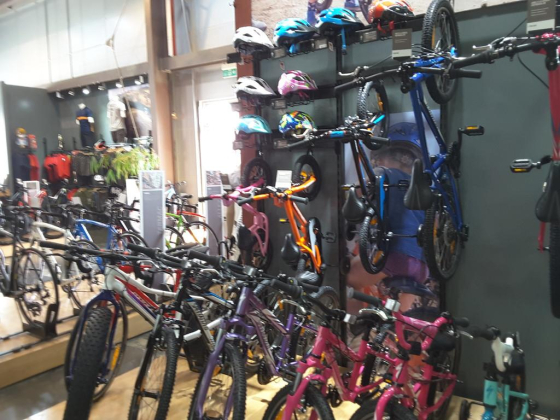 The Cycle Hub