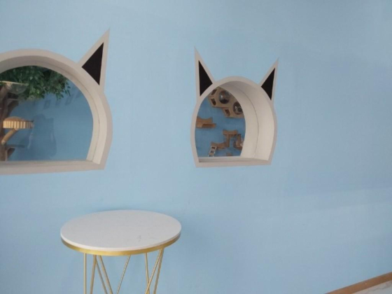 Meow Star Cat Cafe