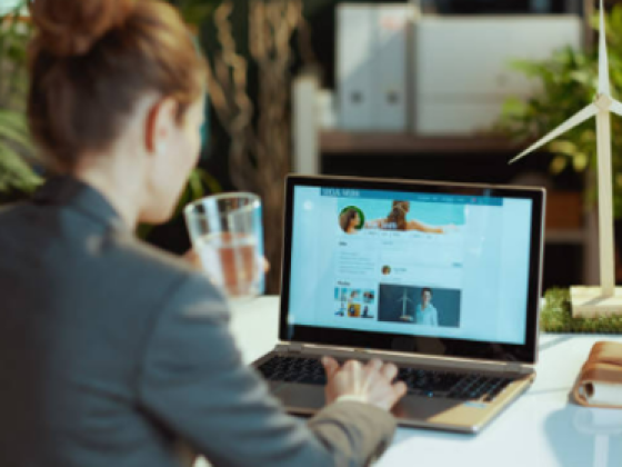 Sadeed Management And Marketing Consultancies