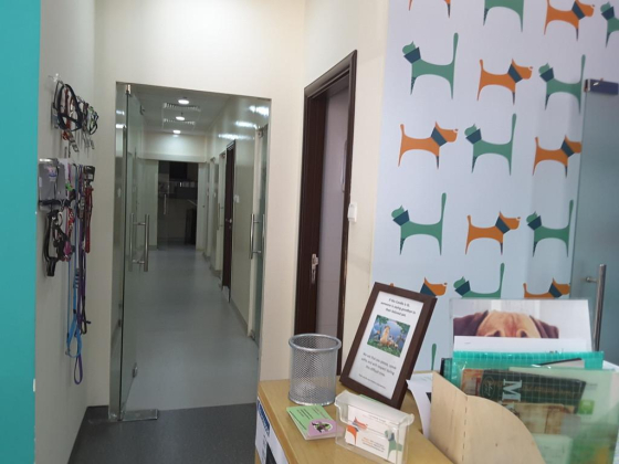 Two Feet Four Paws Veterinary Clinic