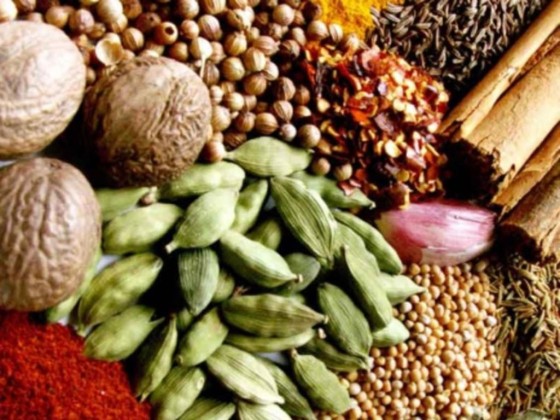 Shabistan Sayyad Foodstuff Trading